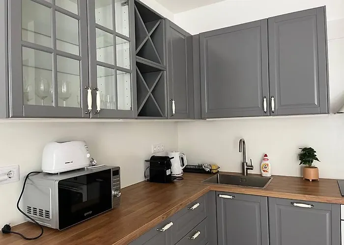 Spacious Rooms With Balcony And Garage