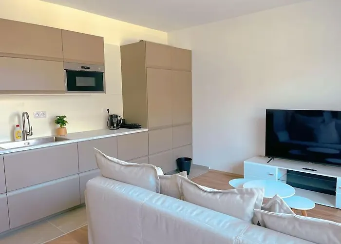 Spacious Rooms With Balcony And Garage