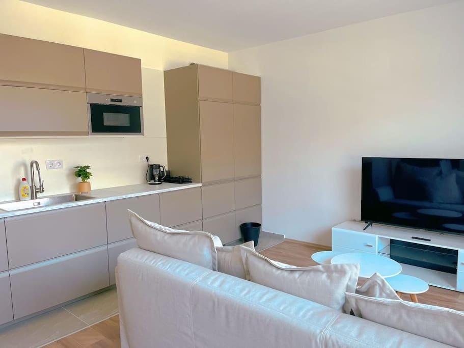 Appartement Spacious With Balcony And Garage